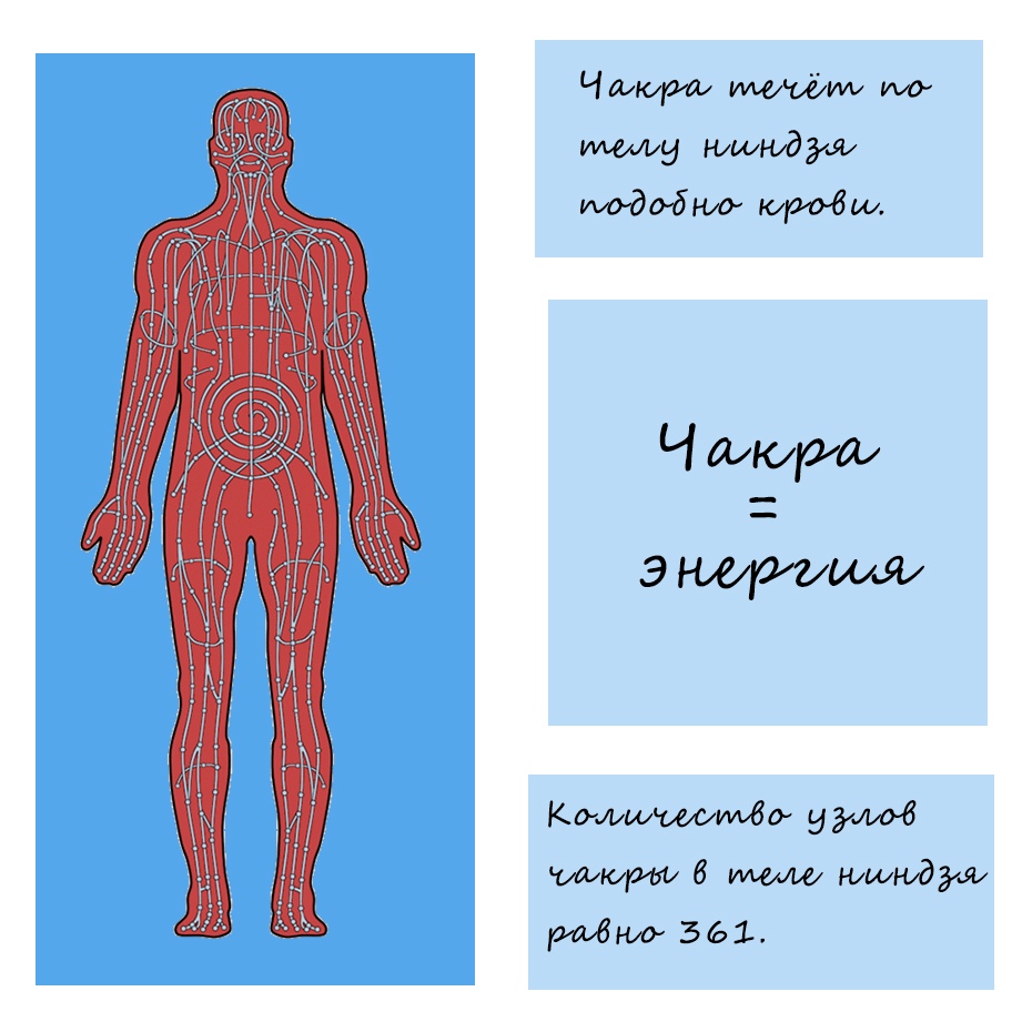 Анатомия шиноби